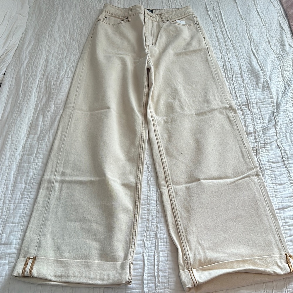 BDG Wide Leg Pant